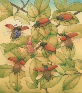 Poucette 08, 2005 - Kestutis Kasparavicius
